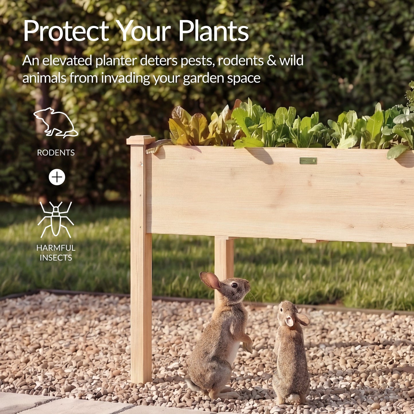 Raised Garden Bed Elevated Wooden Planter Box with Foot Caps - 48x24x30in designed for patio and backyard use