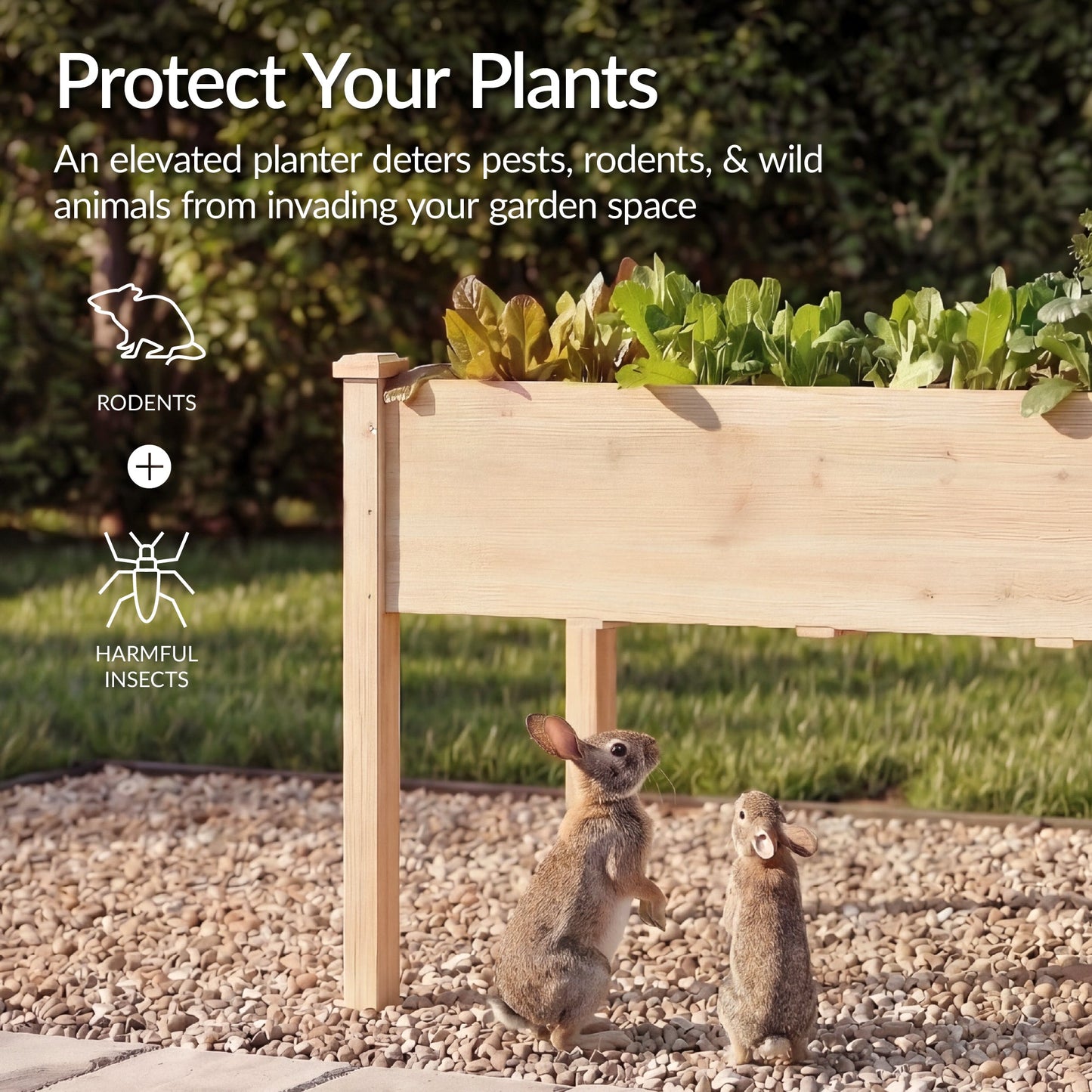 Raised Garden Bed Elevated Wood Garden Planter Stand - 72x24x30in with practical outdoor-ready details